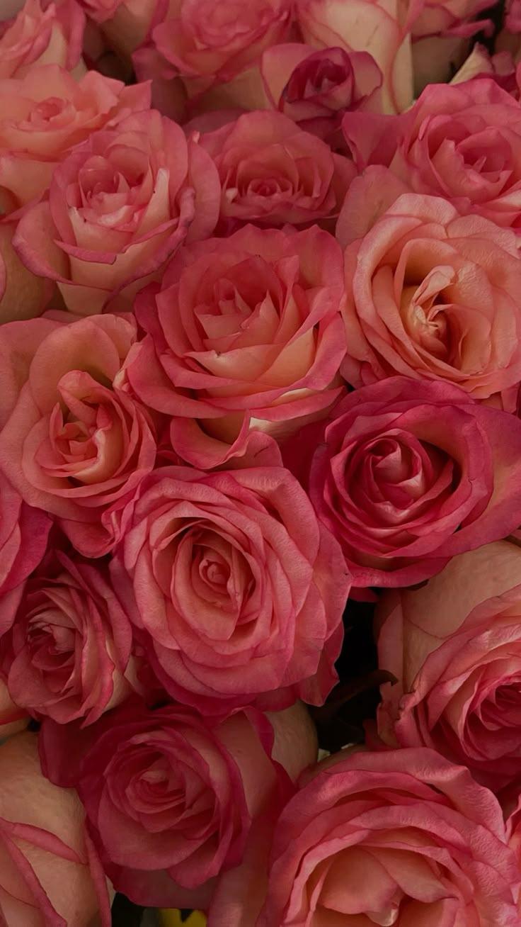 CloverdAppleWind workshop space where corporate flower arrangements are designed and prepared for business delivery